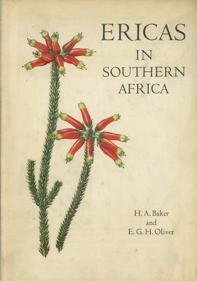 Image for Ericas in Southern Africa