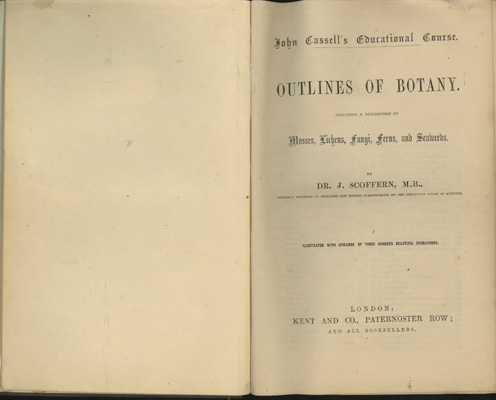 Image for Outlines of Botany, Including a Description of Mosses, Lichens, Fungi, Ferns and Seaweeds