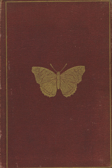 Image for Butterflies and Moths (British)