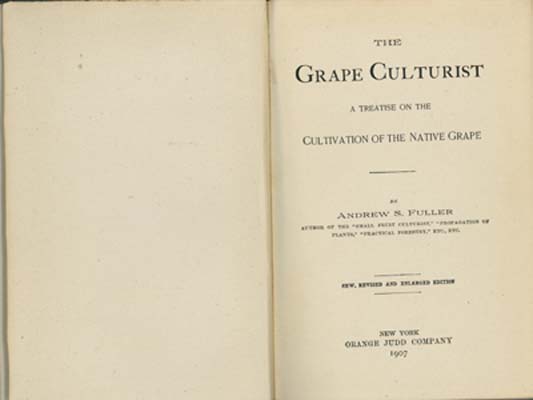 Image for The Grape Culturist: a treatise on the Cultivation of the Native Grape
