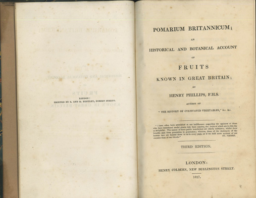 Image for Pomarium Britannicum; an Historical and Botanical Account of Fruits Known in Great Britain